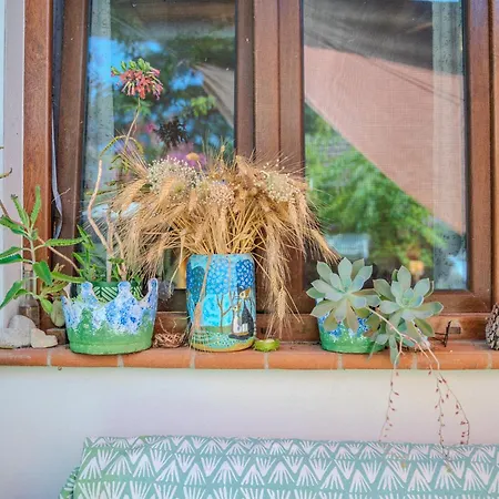 Casa Di Cristina Σπίτι διακοπών Casamaggiore